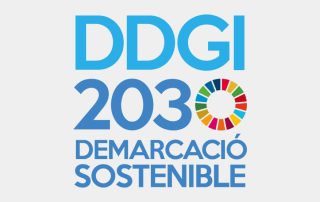 DDGI 2030