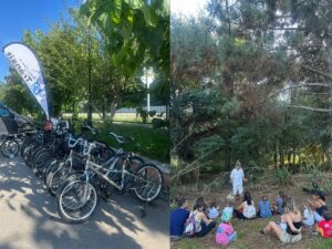 Convocatòria Ple Municipal