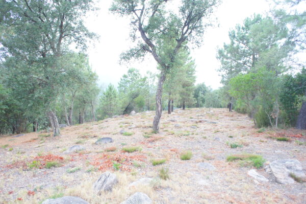 Manteniment de franges