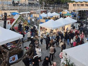 Riells dissenys web Convocatòria Ple Municipal